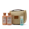 All Hair Essentials Bag: includes overnight bag, hydrate duo 8oz, and 2oz Shine Cream